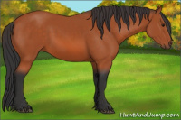 Horse Color:Brown 
