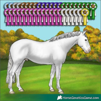 Horse Color:Liver Chestnut Mushroom Snowflake Varnish