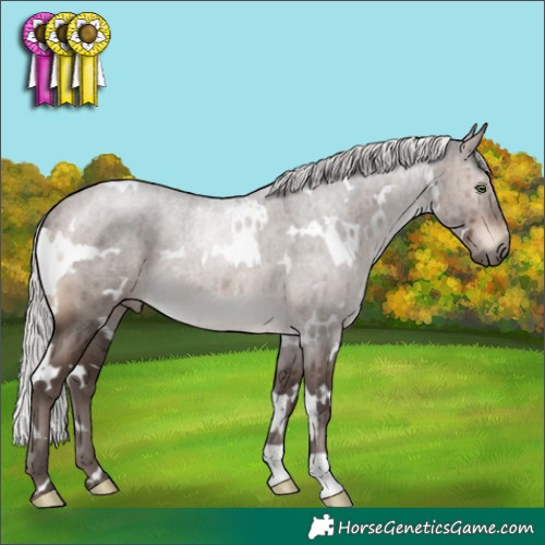 Horse Color:White Spotted Silver Brown Dun Mushroom Brindle 