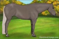 Horse Color:Silver Black 