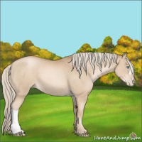 Horse Color:Chocolate Palomino Pearl 