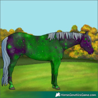 Horse Color:ERROR: UNKNOWN ANOMALY