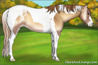 Horse Color:Red Onyx Tobiano Appaloosa 