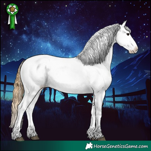 Horse Color:White Spotted Smoky Grullo Appaloosa Rabicano  and White Spotted Smoky Grullo Appaloosa Rabicano 