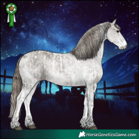 Horse Color:White Spotted Smoky Grullo Blanket Rabicano and White Spotted Smoky Grullo Varnish Rabicano