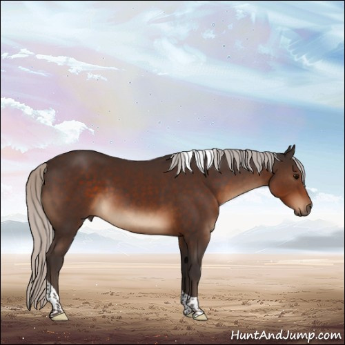 Horse Color:Silver Brown Tobiano 