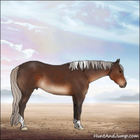 Horse Color:Silver Brown Tobiano 