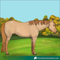 Horse Color:Red Dun 