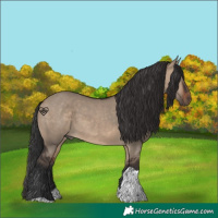 Horse Color:Brown Dun Tobiano Rabicano