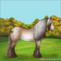 Horse Color:Gray Bay Pearl