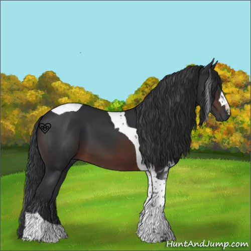 Horse Color:Brown Tobiano 