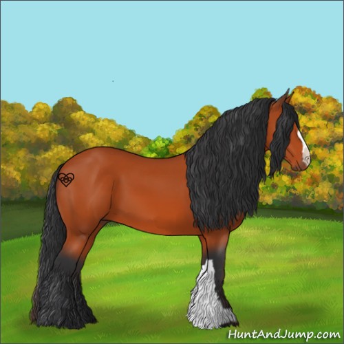 Horse Color:Brown 