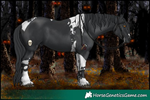 Horse Color:Black Tobiano 