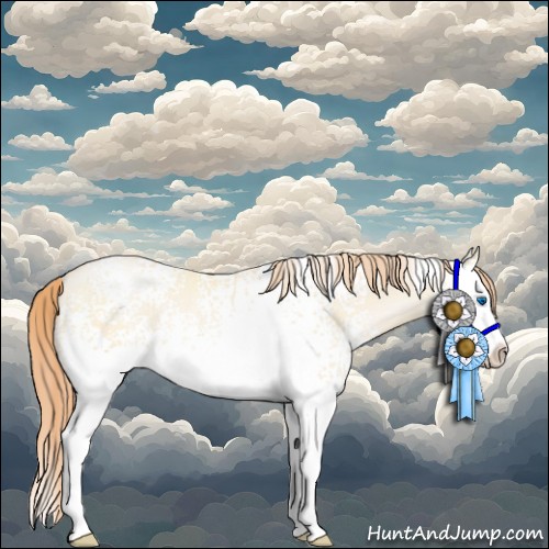 Horse Color:White Spotted Amber Cream Champagne Pearl Splash Rabicano
