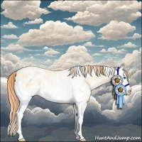 Horse Color:White Spotted Amber Cream Champagne Pearl Splash Rabicano 