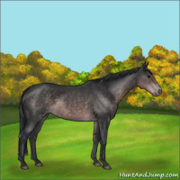Horse Color:Platinum Brown Roan 
