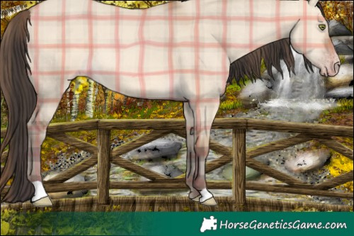 Horse Color:Plaid Sable Champagne Dun