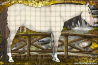 Horse Color:Plaid  Amber Champagne Dun 