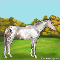 Horse Color:White Spotted Black Pearl 