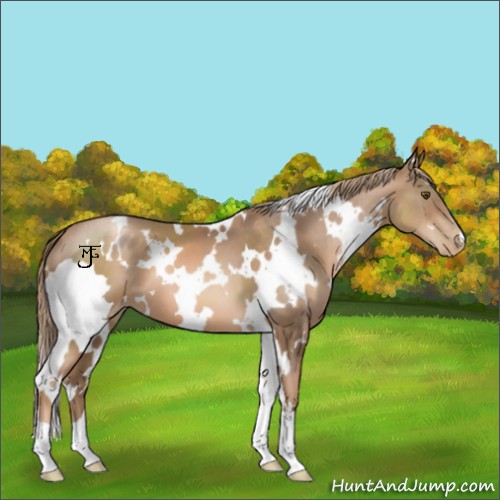 Horse Color:White Spotted Liver Chestnut Pearl 