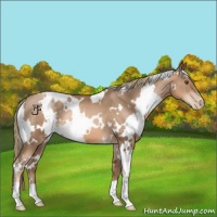 Horse Color:White Spotted Liver Chestnut Pearl