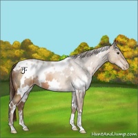 Horse Color:White Spotted Brown Pearl 