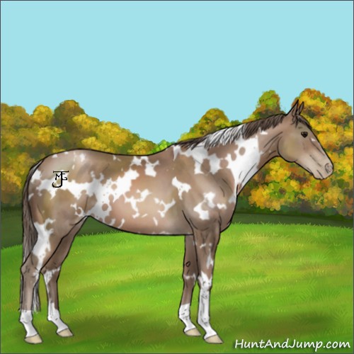 Horse Color:White Spotted Black Pearl 