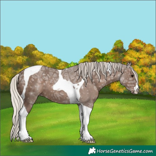 Horse Color:Silver Black Ice Tobiano