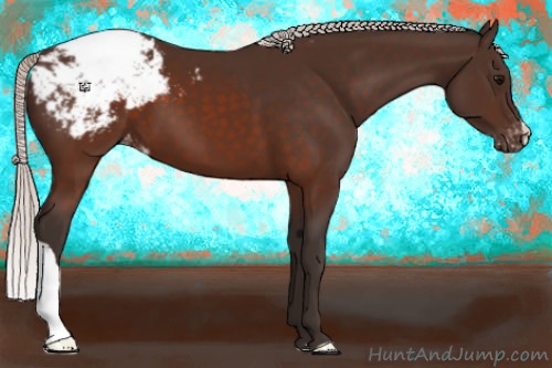Horse Color:Silver Brown Appaloosa 