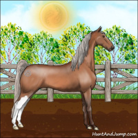 Horse Color:Silver Brown 