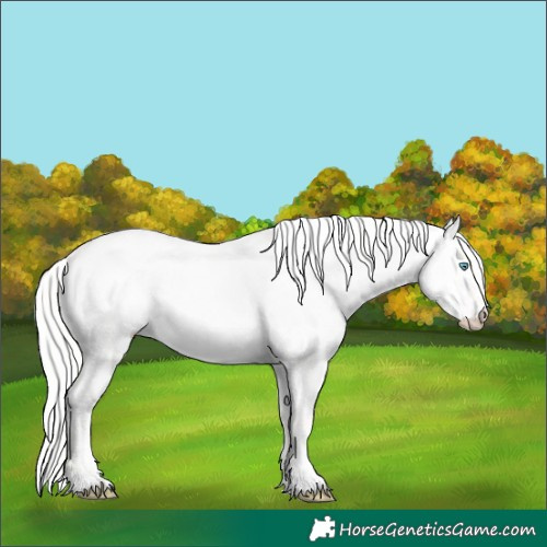 Horse Color:Cremello Dun 