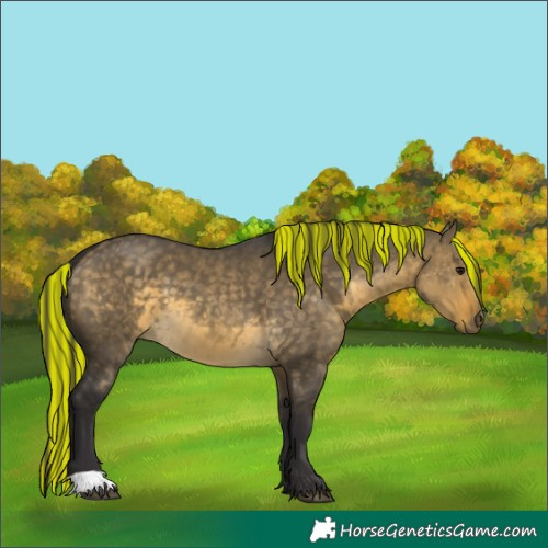 Horse Color:Painted Buckskin Dun 