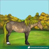 Horse Color:Painted Buckskin Dun 