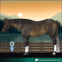 Horse Color:Buckskin 