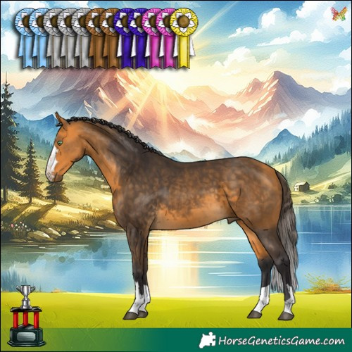 Horse Color:Buckskin 