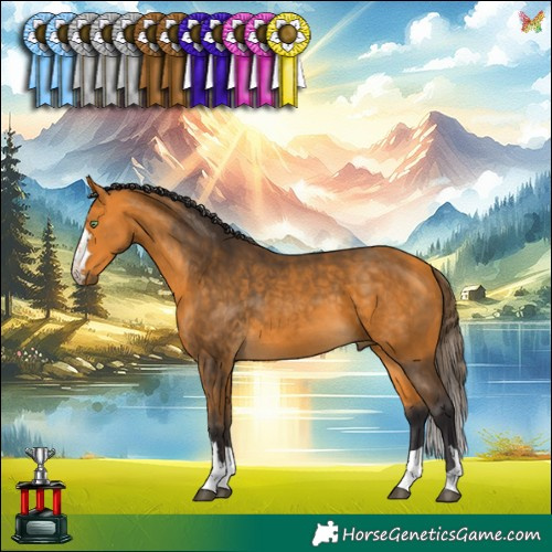 Horse Color:Buckskin 