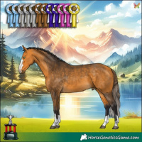 Horse Color:Buckskin