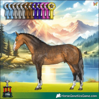 Horse Color:Buckskin 