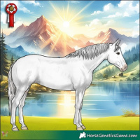 Horse Color:Silver Bay Snowcap 