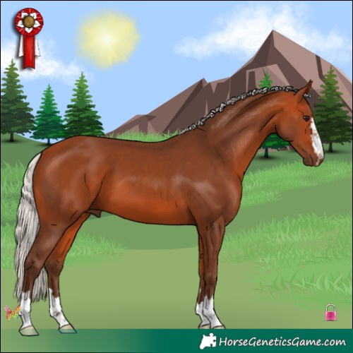 Horse Color:Silver Bay 