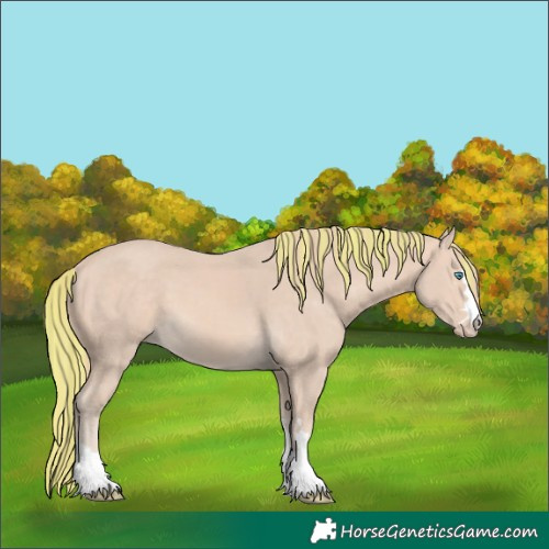 Horse Color:Painted Perlino 