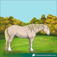 Horse Color:Painted Perlino 