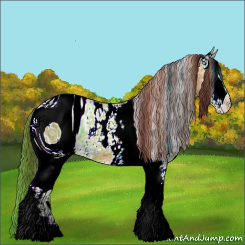 Horse Color:ERROR: UNKNOWN ANOMALY