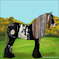 Horse Color:ERROR: UNKNOWN ANOMALY