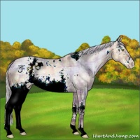 Horse Color:Plaid  White Spotted Silver Bay Ice Pearl Dun Mushroom 
