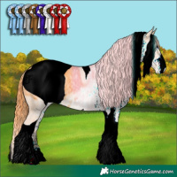 Horse Color:ERROR: UNKNOWN ANOMALY