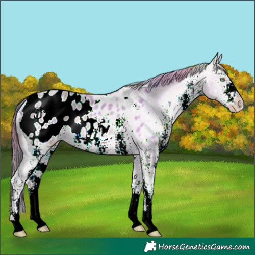 Horse Color:Nacre White Spotted Sable Champagne Ice Mushroom Varnish