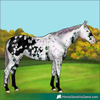 Horse Color:Nacre White Spotted Sable Champagne Ice Mushroom Varnish
