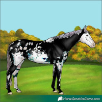 Horse Color:Nacre White Spotted Brown Ice Roan Mushroom Varnish