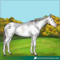 Horse Color:Nacre White Spotted Bay Onyx Mushroom Varnish Rabicano 
